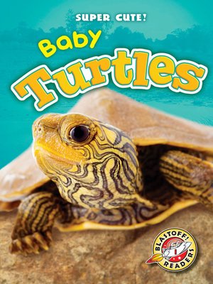 cover image of Baby Turtles